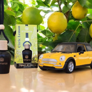 1 DIFUSOR PARA AUTOS AROMANZA 12 ML